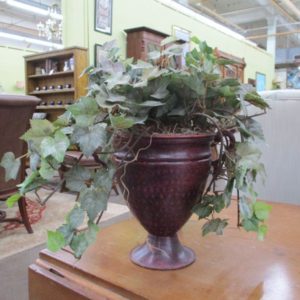 Ivy Plant in Decorative Pot