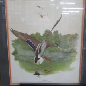 Mallard Print Signed