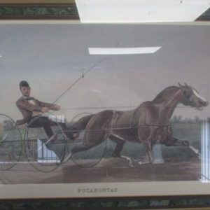 Pocahontas Horse Print